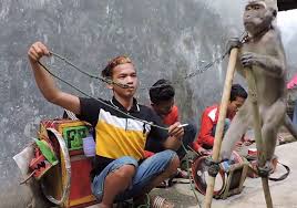 Check spelling or type a new query. Soal Ujian Nasional Unbk Smk Sma Analytical Exposition