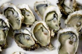 Oyster Guide New England Oysters New England Today