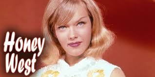 Don Gazzaniga filmography