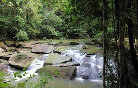 From here onward a 4wheel drive needed for the gravel road into the study centre 27 km. Maliau Basin Photos Free Royalty Free Stock Photos From Dreamstime