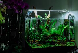 I am a little busy right now, but feel free to pm me if you would like any aquascape tips, i should be available tonight to help. How To Start An Aquascape The Right Way Atlantis Aquatics