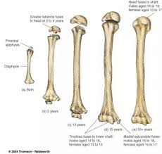 From tallest to shortest in less than a year. What Is The Maximum Age For Men To Gain Height Quora