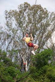 Outdoor Activity Park Pretoria Long Zip Line Team Building