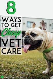 Find your nearest local vet surgery here. 8 Ways To Get Cheap Vet Care Near Me Vets Care Getting A Puppy