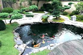 Check spelling or type a new query. Backyard Turtle Pond Ideas