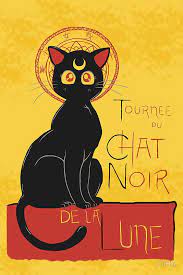 Chat Noir De La Lune Poster By Diha Sailor Moon Art Sailor Moon Tournee Du Chat Noir