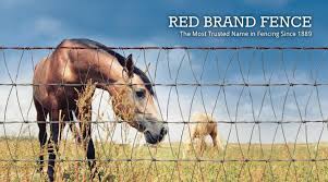 We did not find results for: Farm Agriculture Wire Fencing Buy Red Brand Fencing Products