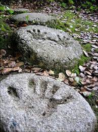 10 Diy Step Stones To Brighten Any Garden Walk Gardening For Kids Garden Paving Garden Stepping Stones