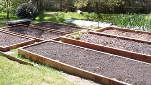 The roots will decompose and aerate the soil. Raised Beds Soil Depth Requirements Building A Raised Garden Preparing Raised Garden Beds Garden Beds
