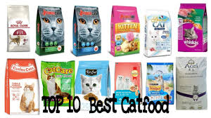 The specially formulated dry food is free from artificial colors, flavors, and preservatives. Top 10 Best Catfood In Ph 2020 Youtube