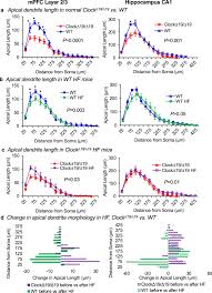 Jesse cox (version 1.28.37.252) has a file size of 24.12 mb and is available for download from our website. The Clock Mechanism Influences Neurobiology And Adaptations To Heart Failure In Clock 19 19 Mice With Implications For Circadian Medicine Scientific Reports