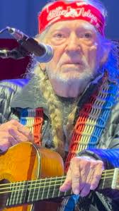 Willie Nelson's bass player, Bee Spears, took flight! #willienelson  #angelflyingtooclosetotheground #beespears #funny #countrymusic