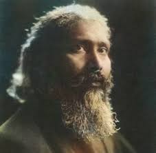 The higher you rise, the wider becomes the margin of your view. Bowl of  Saki, December 1, by Hazrat Inayat Khan View/Listen to a Recent Class:  https://www.sufi-message.org/meditations_on_the_message_archive2024.pdf#novb2024