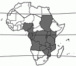 Image result for Strombosia scheffleri