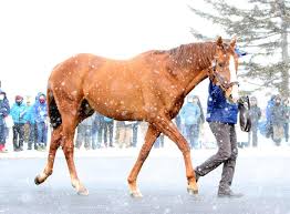 News source: Yahoo!ニュース