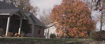 Thanksgiving buffet & oyster festival: The Last Thanksgiving 2020 Yify Download Movie Torrent Yts