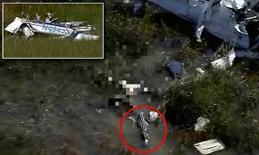 Body Of Plane Crash Victim Is Eaten By An Alligator In Florida Small Airplanes Everglades Florida Swampland