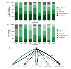 Английский размер at least since michelangelo, serious artists of the genre have known the value of a clinical study of anatomy. The Wiring Logic Of An Identified Serotonergic Neuron That Spans Sensory Networks Biorxiv