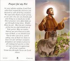 We did not find results for: Prayer For Sick Dog Doggies