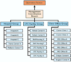 42 Cogent Hospital Organization