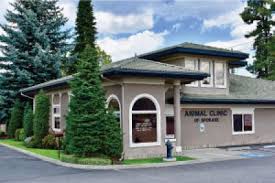 Indicators of public assistance are listed below. Contact Us Animal Clinic Of Spokane Wa Vet Pet Clinic Veterinarian Veterinary Small Animal