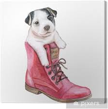 Maybe you would like to learn more about one of these? Leinwandbild Niedlicher Welpe Der Franzosischen Bulldogge In Einem Schuh Hund Schwarzweiss Lokalisiert Auf Weissem Hintergrund Aquarell Illustration Vorlage Pixers Wir Leben Um Zu Verandern