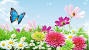 Flower 1080p 1920x1080 Wallpaper Hd Nature