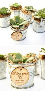 Personalised Wedding Favour Tags Timber Tags Let Love Grow With Succulent Illu Personalized Wedding Favor Tags Plant Wedding Favors Wedding Favor Gift Tags