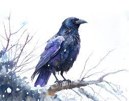 Raven Raven Art Print Black Bird Print Raven Print Crow Bird - Etsy