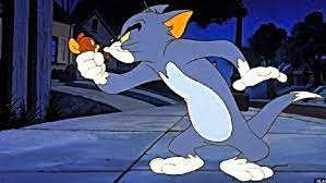 Shiko filmin tom and jerry: Tomi Dhe Xherri Mbushin 80 Vjec Mesoni Historine E Krjimit Te Tyre Shqiptarja Com