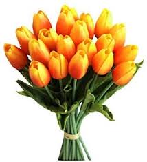 Simply browse an extensive selection of the best artificial orange flower and filter by best match or price to find one that suits you! Pin On Yes