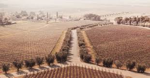 Ripartiamo dall'Italia. 4 tappe tra paesaggio e architettura dalla ...