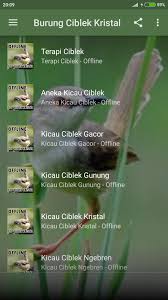 Download lagu kicau ciblek kristal mp3 di metro musik. Suara Burung Ciblek Kristal Gacor For Android Apk Download