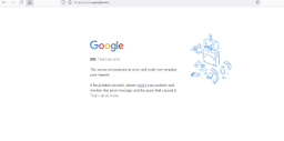 500. That's an error message when accessing the google search ...