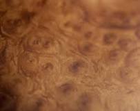 Image result for how make burl wood vape stain