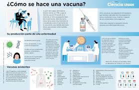 La vacuna experimental contra el coronavirus de cansino biologics tiene una tasa de eficacia del 65.7 por después, cansino remitió el anuncio de sultan en un comunicado. Con La Autorizacion Para Uso De Emergencia De Las Vacunas Contra El Sars Cov 2 De Cansino Biologics Y Sinovac Mexico Suma Cinco Alternativas Vacunales Codigo F