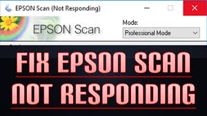 Ptint head designed for epson xp600, xp601, xp950, xp820 printer print head печатающая головка 100％ brand new high quality. Guide Fix Epson Scan Not Responding Windows 10 2018 V300 V600 V700 Youtube