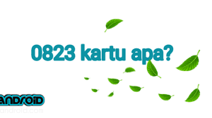 Angka 3 adalah memberi kita pertanda bahwa apapun yang kita lakukan di masa lalu adalah. Detail 0823 Nomor Kartu Apa Dan Dari Wilayah Mana Ime Android