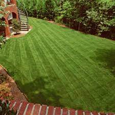 The true price of starting from scratch is suggested by our experts. How To Remove A Lawn Lowe S