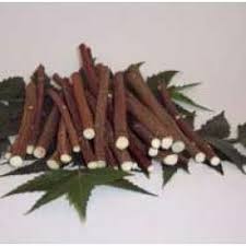 Image result for neem oral health
