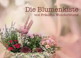 Check spelling or type a new query. Blumenladen Im Quartier Radewig In Herford Mit Viel Liebe Zum Detail Alles Rund Um Die Blume Blumen Fur Jeden Anlass Beim Florist Herford Owl Nrw Hochzeitsdienstleister Herford Blumen Bielefeld Fraulein Wunderblume