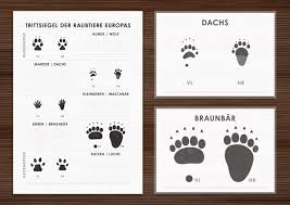 Arbeitsbogen Trittsiegel Der Raubtiere Europas Mit Den Spuren Von Hundeartigen Wie Wolf Dachs Waschbar Braunbar Und Katzenartigen Raubtiere Tiere Wolf Hunde