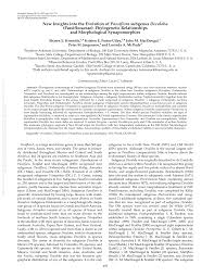 Image result for Basananthe apetala