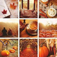 Pin By Chrissy Bassett On Herbst Autumn Inspiration Autumn Autumn Scenes