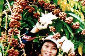 Maybe you would like to learn more about one of these? Quá»'c Há»i Qua Cac Thá»i Ká»³ ThÆ° Viá»n áº£nh