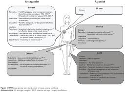 Image result for Selective Estrogen Receptor Modulator
