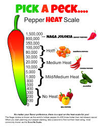 77 Explicit Chili Heat Scale