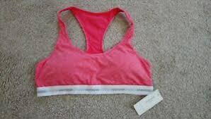 Details About Bnwt Hollister Gilly Hicks Bralette Sports Bra Pink Size Large 34d 36c 12