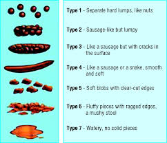 The presence of brown color in stools is due to the colored pigment in bile. The Scoop On Poop Vital Kids Medicine