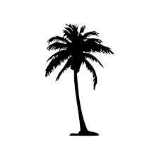 What kind of palm tree has fan shaped leaves? Silhouette Palm Trees Palm Clipart Panda Free Clipart Images Tree Silhouette Tattoo Palm Tree Silhouette Tree Silhouette